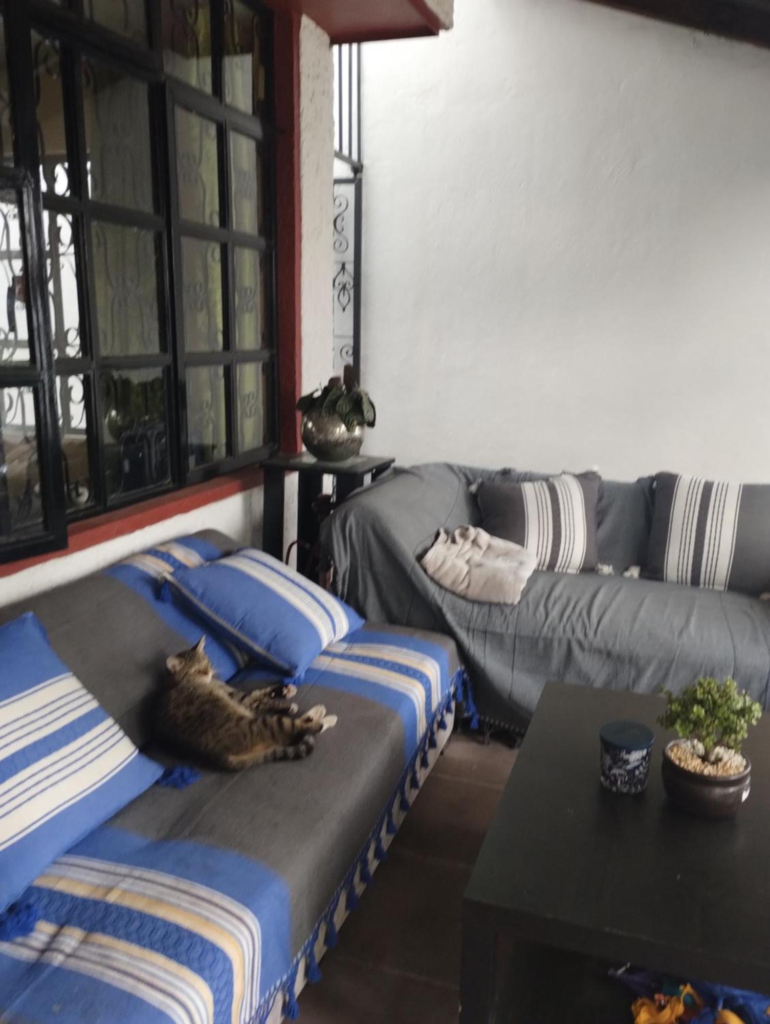 Urban Oasis Bed & Breakfast