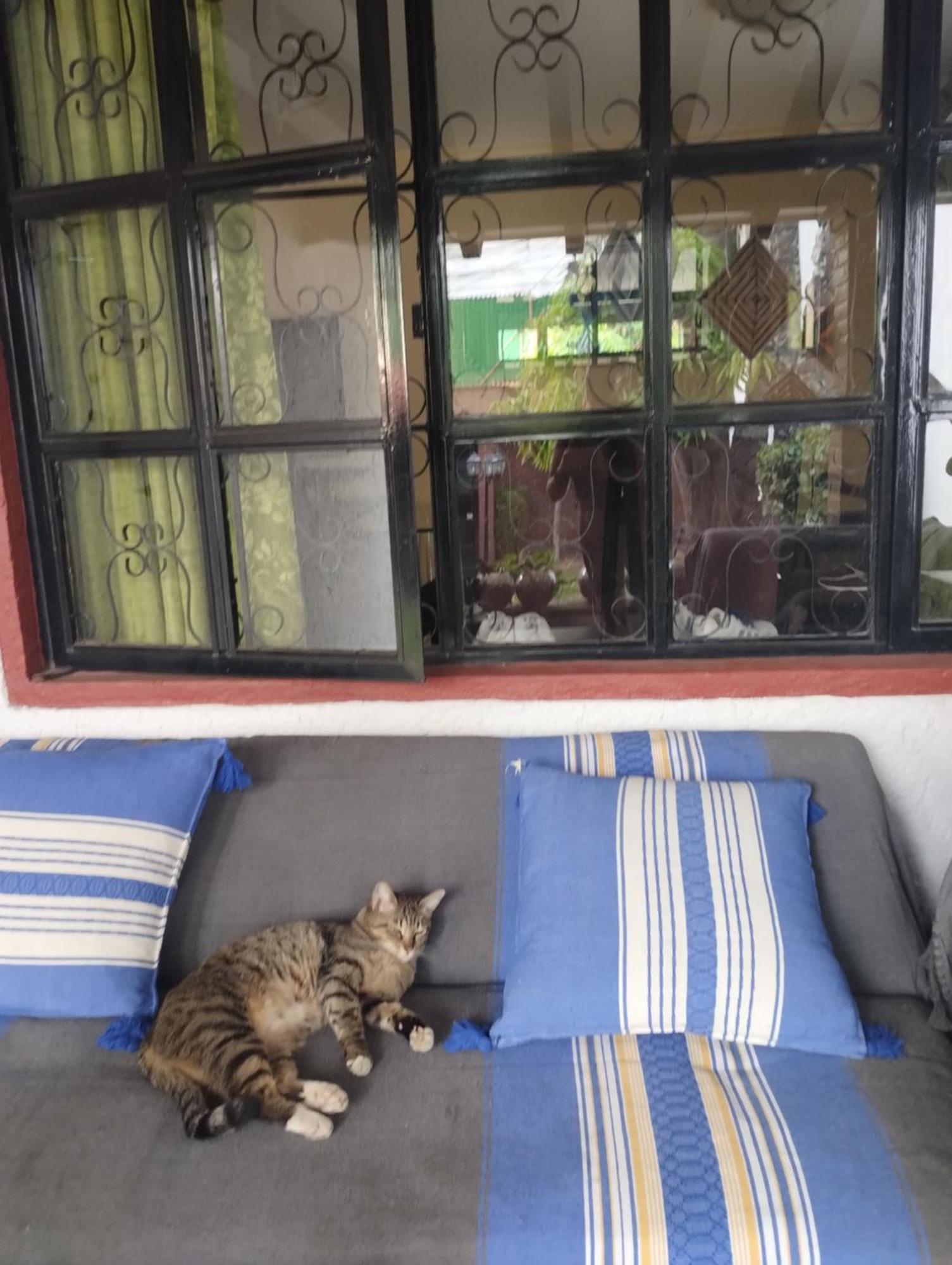 Urban Oasis Bed & Breakfast *